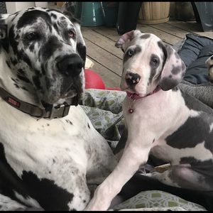 Meet your Posher, Anna marie